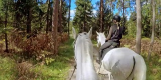 POV和朋友骑马穿过森林