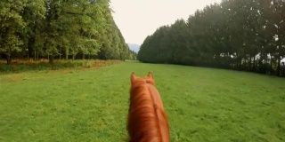 POV骑着一匹奔跑的马穿过草地