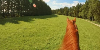 骑着一匹奔跑的棕色马穿过草地