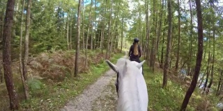 POV骑着白马穿过美丽的森林