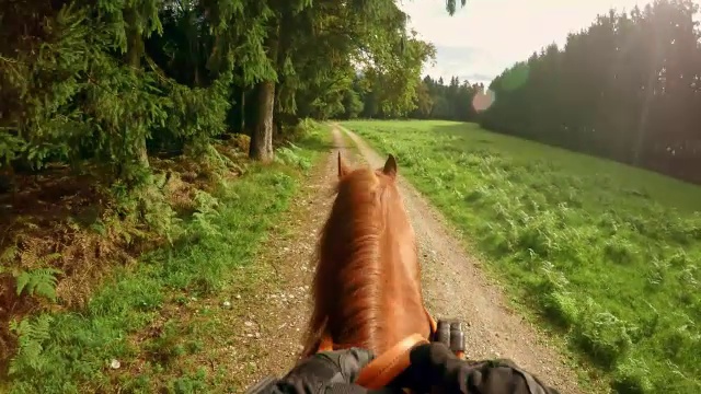 POV骑马穿过森林空地的人