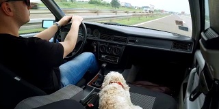 Man enjoys the ride home as much as his dog!