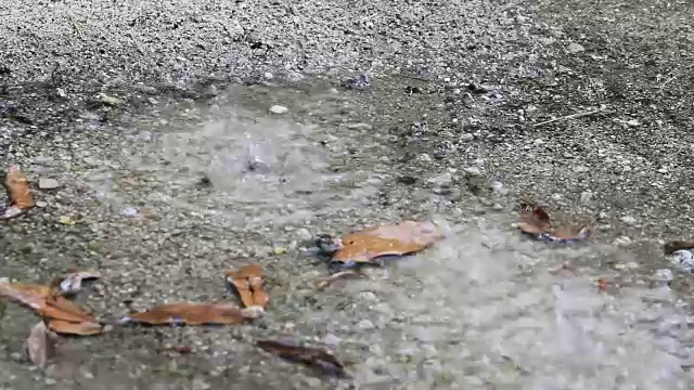 在雨季，雨落在地板上