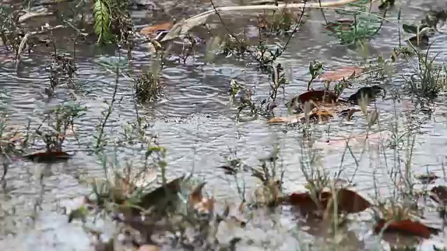 在雨季，雨落在地板上