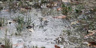 在雨季，雨落在地板上