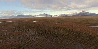 在冰岛的湿地上空飞行