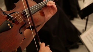 小提琴家视频素材模板下载