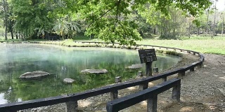 泰国的温泉温泉自然景点。