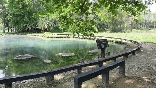 泰国的温泉温泉自然景点。视频素材模板下载