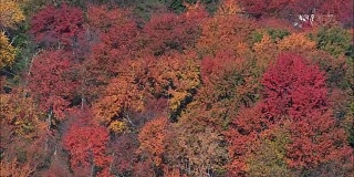飞行过去秋天颜色附近的列克星敦-鸟瞰图-马萨诸塞州，米德尔塞克斯县，美国