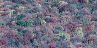 秋天的颜色近鸟瞰图-马萨诸塞州，米德尔塞克斯县，美国