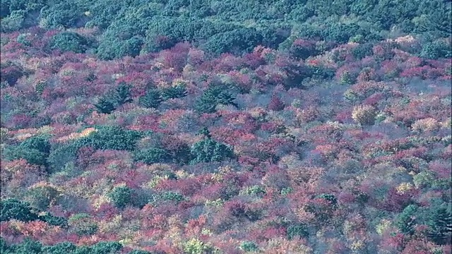 秋天的颜色附近的康科德-鸟瞰图-马萨诸塞州，米德尔塞克斯县，美国