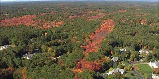 秋天的颜色靠近贝福德-鸟瞰图-马萨诸塞州，米德尔塞克斯县，美国