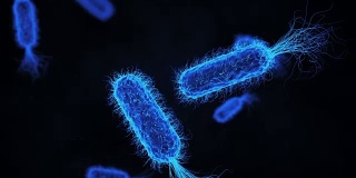 大肠杆菌蓝色医学背景