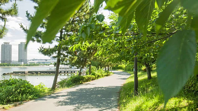 两个年轻的日本女人在公园里跑步