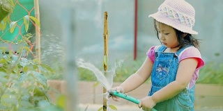 快乐的小女孩在花园里给植物浇水\理念:关爱自然