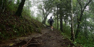 一名徒步旅行者在热带雨林中奔跑