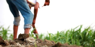 农夫在花园里用锄头挖地