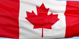 加拿大国旗挥舞循环