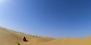 在撒哈拉沙漠附近的Ksar Ghilane绿洲，突尼斯/非洲
