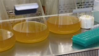 实验室瓶子摇晃液体微生物培养物视频素材模板下载