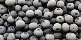 冷冻有机水果蓝莓
