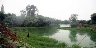 池塘里的一滴雨