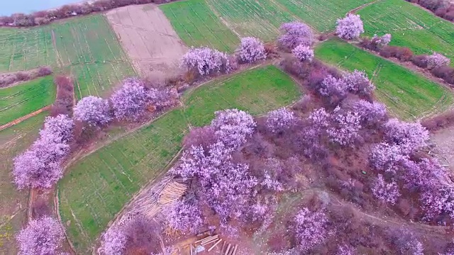 西藏的风景