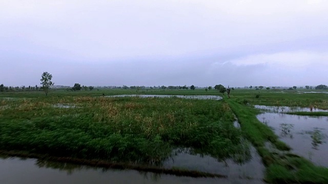 作物在洪水期间