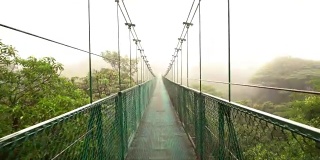 穿过热带雨林中的一座吊桥
