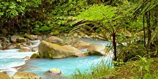 哥斯达黎加的绿松石河