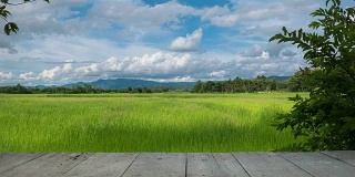 云在绿色的稻田上移动，有木的纹理