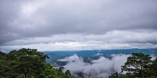 清晨云雾的流逝