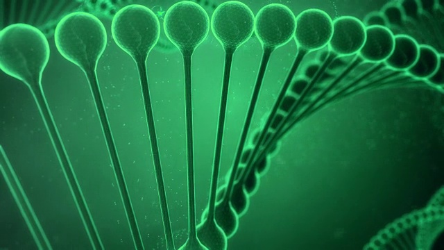 绿色的DNA串
