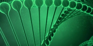 绿色的DNA串