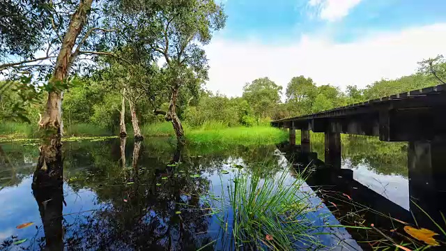 时间流逝景观与云沼泽