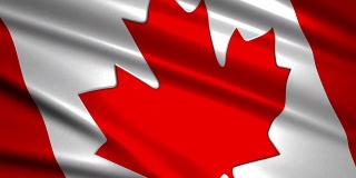 近距离挥舞加拿大国旗，可循环