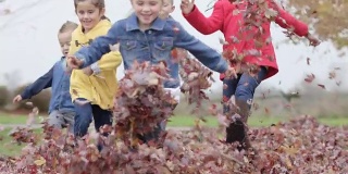 小学生在操场上玩树叶