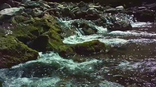 山河流经岩石视频素材模板下载