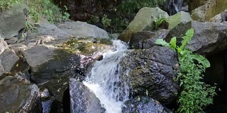 河流从岩石中流过。