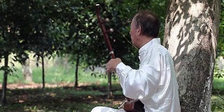 老人在公园里演奏中国传统的二胡