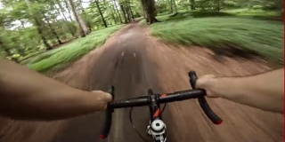 在森林里骑十字自行车