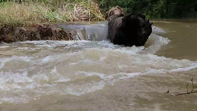 木材舱壁水道。