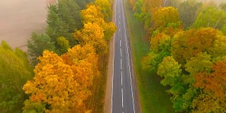 鸟瞰图。在秋天的树林中飞过高速公路