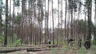 伐木工人正在砍树。视频素材模板下载