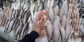POV:买新鲜的鱼