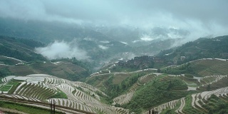 中国桂林龙胜的龙脊梯田