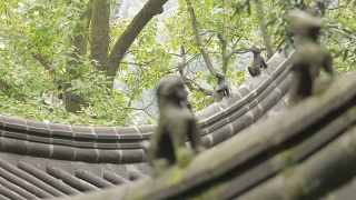 中国杭州的一个寺庙视频素材模板下载