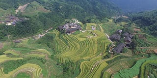 中国桂林龙胜的龙脊梯田