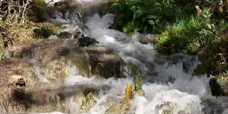 瀑布自然背景岩苔绿
